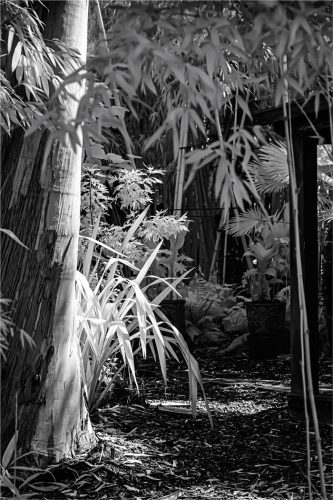 Hidden Garden Rick Hathaway