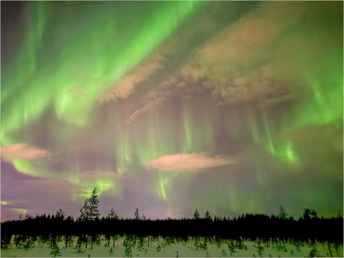 Northern-Lights-Sue-Sargeant
