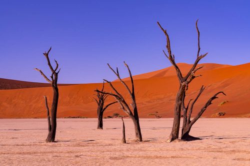 Sossusvlei-at-dawn-Angie-Chisholm